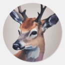 Search for wild deer stickers Antlers