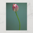 Search for single vertical postcards Bloom