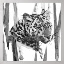 Search for cheetah posters Big cat