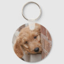 Search for peeks keychains Cute