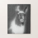 Search for black and white animal puzzles Cute