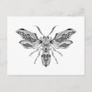 Search for wasps postcards Bee