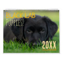 Search for labrador calendars Puppy