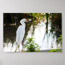 Recherche de oiseaux de marais art Nature