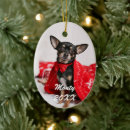 Search for dog pet memorial ornaments Simple