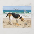 Recherche de peintures de plage cartes postales Chien