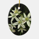 Search for star bethlehem ornaments Stars