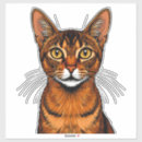 Search for abyssinian cat stickers Feline