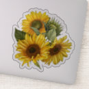 Search for big sunflower stickers Nature
