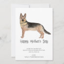 Search for blue heeler holiday cards Watercolor