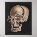 Recherche de explosie posters Couleur