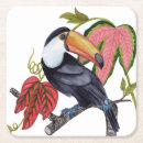 Recherche de toucans dessous de verres Jungle