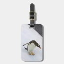 Search for penguin luggage tags Full length
