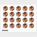 Search for bikini girl stickers Swimsuit