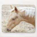 Recherche de palomino tapis souris Chevaux