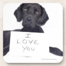 Search for black labrador coasters Photography