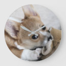 Recherche de corgi horloges Amoureux des chiens