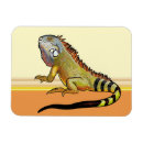 Recherche de iguane magnets Lézard