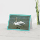 Search for swan cards Unique