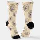 Search for golden retriever socks Cute