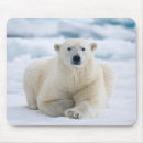 Recherche de adult mousepads Animal