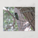 Recherche de de colibri cartes postales Arbre