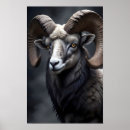 Recherche de vie sauvage posters Nature