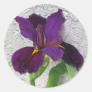 Search for purple iris stickers Garden