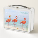 Search for flamingo lunch boxes Cute