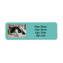 Search for black and teal return address labels Cute