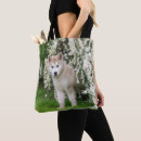 Recherche de malamute sacs Dog