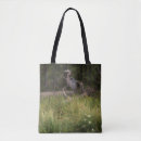 Search for great blue bags Nature