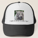 Search for tigers in hats For him