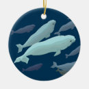 Recherche de baleine ornements Bébé