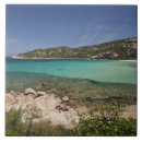 Search for baja tiles Coast