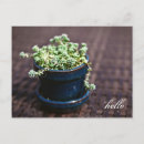 Search for mini postcards Small