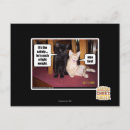 Search for catnip postcards I can has cheezburger