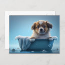 Recherche de de bain cartes postales Chiot