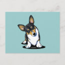 Recherche de tri cartes postales Corgi