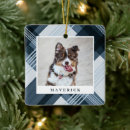 Search for paint ornaments Dog