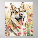 Search for siberian husky art Watercolor