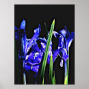 Recherche de giclée posters Copie