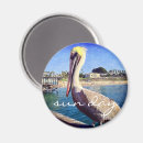 Search for pelicans magnets Bird