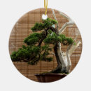 Search for bonsai ornaments Garden