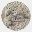 Search for ground stickers Cute