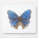 Search for photography mousepads Animals