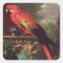 Search for jakob stickers Birds