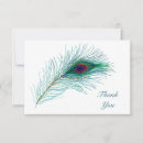 Search for feathers note cards Peacock