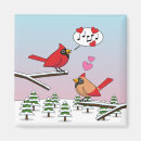 Search for red cardinal magnets Winter