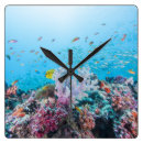 Search for scuba diving clocks Ocean
